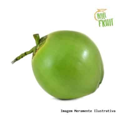 COCO VERDE (Unidade)