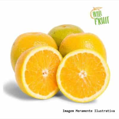 LARANJA LIMA