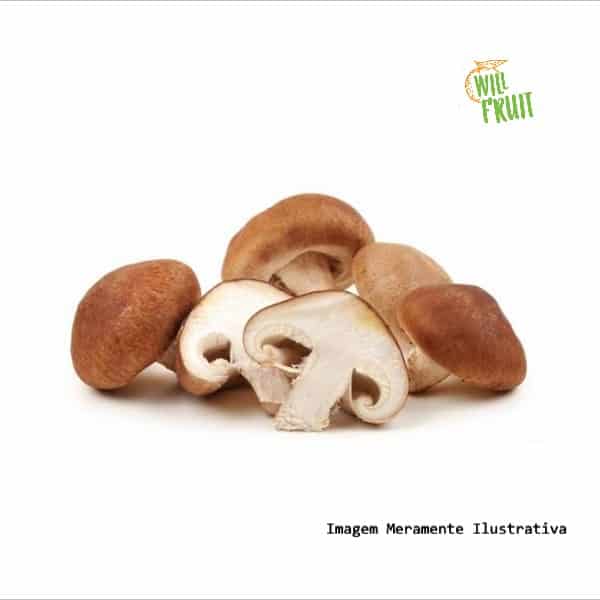 Cogumelo Shiitake 200g - Cogugo